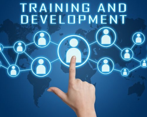 TrainingDevelopment