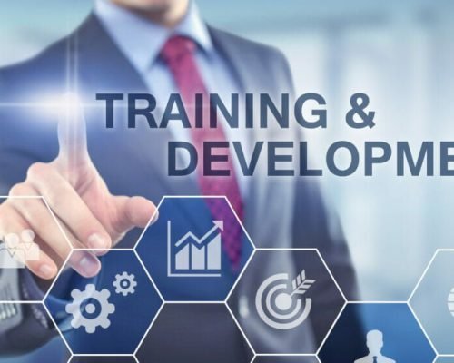 training-and-development